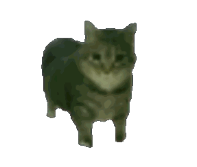 �F�ڵ����H�ɹ�����ͣ�����������ǰ���Ҳ������10�����Y���������ź�׷���ͽY����