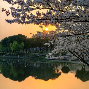 ܽ�غ��ѻ����������G�� �矟��ӳ����