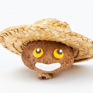 ���ӣ��ًD�s��ȥ���ң�Ҫ�����Ϲ��؁��˾��f�Լ��Ǽ�����˾��...