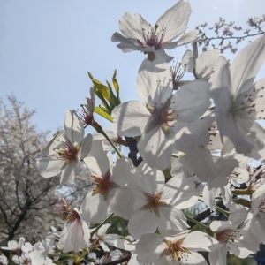 ���մ򿨣��ļ���ʼ�����g̎̎�����⣡