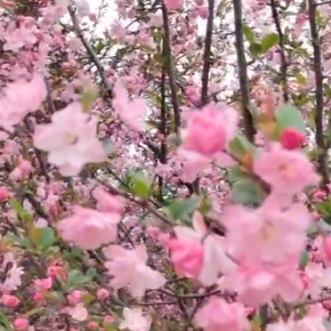 �S�ģ�ĺ������r��̎̎�⣡