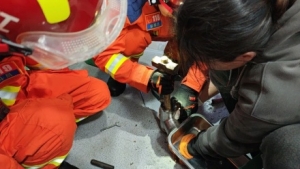 ���ģ����һŮ���ֱ����M�g��C����