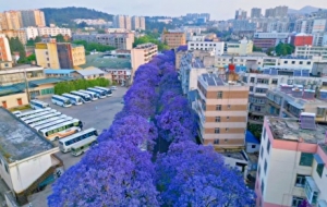 ���������������{(l��n)��麾`�ŵĻ�ʽ����