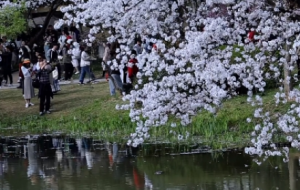 ���׻����´���⏣��ˑB(t��i)��(y��u)�� ��������