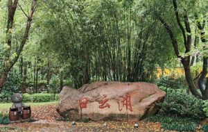 �����ֵ��̫���������x�^��m��չ