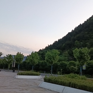 ���{�����d��侵ĕr��ꖹ��治�e���h̎���B��Ƭ��ɽ�}��̫����