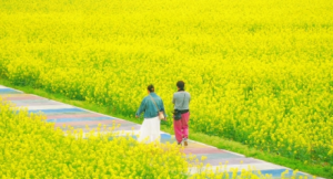 �򿨇��Ҙ��Ͳ˻������]�۸��ܸ�����Ȼ��������ε��ɳ��c�옷