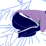 ���괺���ǲ��Ǳ������䣿����L�࣬���괩�����䶼�ܵ�̎����