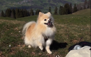 ���Ǳ�С��������һ�죡�Ķ��Ȼ���