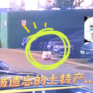 �°l(f��)�T�řC(j��)��(ch��ng)��9�q���Ůͯ......