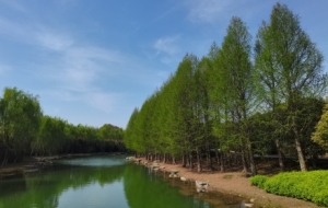 �z���S���ģ���������������ÿһ̎����ҕ�Xʢ��