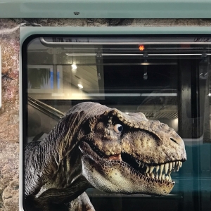 ������lȥ�����T�������������Ǻú��氡