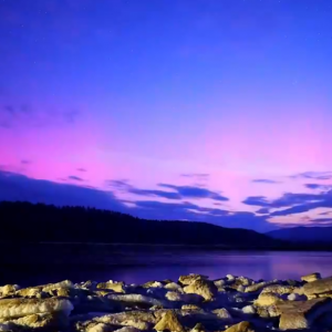 �tɫ�A(y��)��������شű���