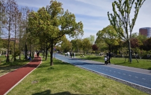 �S���ģ���佻�󣬿����ݵ�������