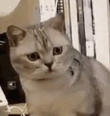 �𱬵�S1��������3�c��犟o�a��܇վ��܇�ѽ��D���ܲ�͸�L��