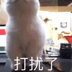 �ͷ�һ����3500���ң������Ԓ�����X���ڽ�ꎹ��Y�߆᣿