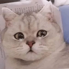 ��ģ3900���ڽ������ʲô���У�