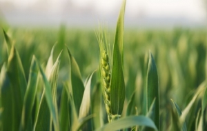 ����20�r59�֣������ʽ�M(j��n)�롭