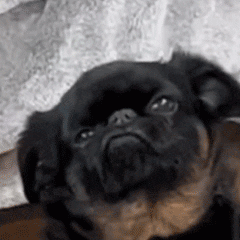 �к�Ҫ�W�������Լ�����������������߅�l���ˎ׼����飬�꼉�p�p��Ⱦ��������