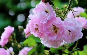 ꖹ��µ��Nޱһ����һ�أ�����������ȶ���