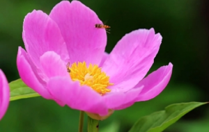 �z�ѷ�����ˎ�����_�����ģ�