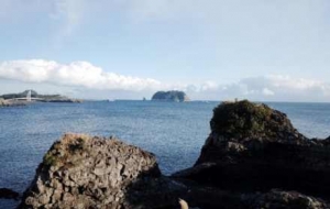 �L��o�޵ĺ������ഺ��Ϣ�������