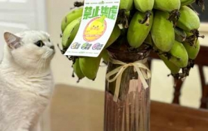 ��ֹ���G��؈؈Ҳ���㽶~