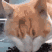 �ゃÿ���ܴ�����X�����X̫�y����һ��ٍ��ٍ������ô��