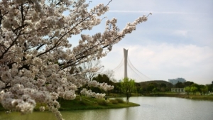 �e��ܽ�غ�������ʢ�_��һ��һ�����箋