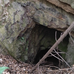 �Sɽ����������һ������������֪������ɶ��