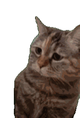 �R���R���п��ˣ����X�ú������c(di��n)�����ˣ��@��ô�k��