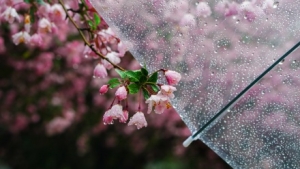 ���꣡��ꎚ���l���߿�����A��