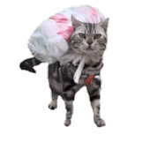 ����18�꣬�Ҳ�ͣ�ēQ��������˾���ǽ�ɢ���ǽ��I���y�����ˣ��F�ڵ����Ҳ����������� ...