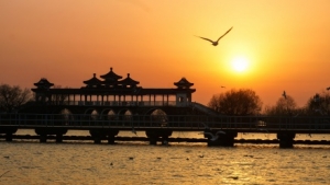 ��������ȫ���߿������M