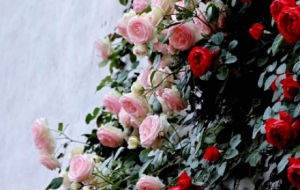 �Nޱ���M�����ʹ������˂�(g��)β������������(g��)�^