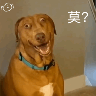 ��δ��Ů�x�飬�е���Y(ji��)�����ޣ�Ů�Ĳ���Y(ji��)�������ˣ����ߵ����᣿