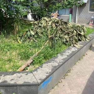 ���Կ������^���޼�С�^�ȾG����ľ���P��