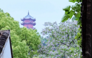 ��ɽ���(zh��n)�Nޱ����һ����ˇ��һ�럟��⣡