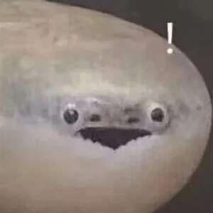 ȥ������������܇(ch��)�r(sh��)��(w��)��Ҫע�⣺������ϵ��ȫ���P��200