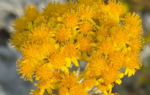 �\�ӹ��@�S�ģ��]��Ԋ���h�������Ĭ����С����