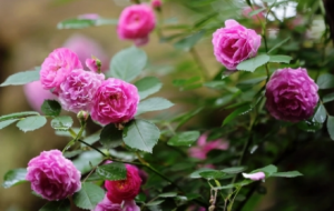 ���չ⾰����һ�ݰ�Ȼ���������e�������^��Ԋ