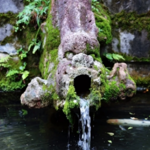 ��ˮī�������򿨻�ɽ�p�@��