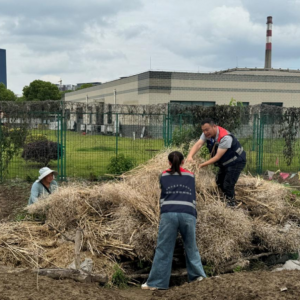 ֪ͨ�����ȫ��ȫ���ֹ