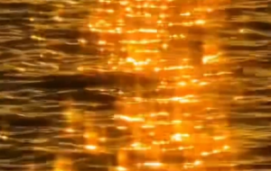 �S�ģ�Ϧ���ҫ�ں����ϣ��������� ����W�W