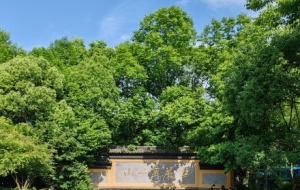 �[���ں�������߅���A����һɽ������������Դ �Ř�����