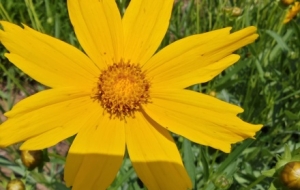 �֙C�S�ģ���׽���ժ�һ�o����С�_�ң�