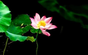 ����p�ɵ����]��������Ҹ����Л]��