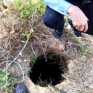 �o�������һ�ľ����@�F���