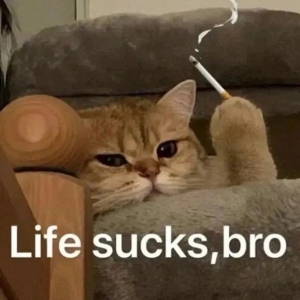 С����������⣬�I���Ƽ����ЌW(xu��)���R�ۿƄ�(chu��ng)���Y���ЌW(xu��)���A�|���������x�Ă�(g��)