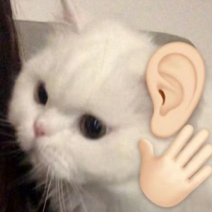 Փ���W�џ��h���߿��֔��ѳ�����ݼ���680�࣬��ꎸ߿����w��r�����ġ�